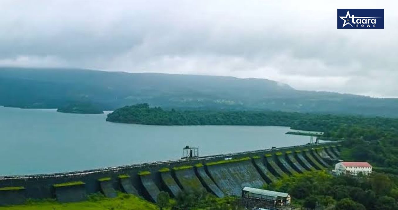 kolhapur rain update 38 barrages submerged radhanagari dam water level